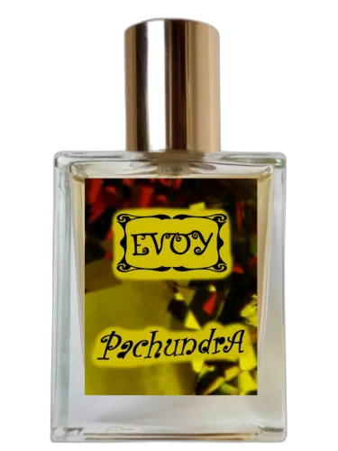 Pachundra Evoy by EVOY