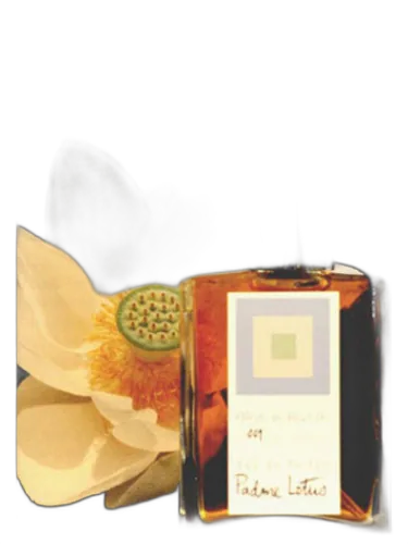 Padme Lotus Dsh Perfumes by DSH Perfumes