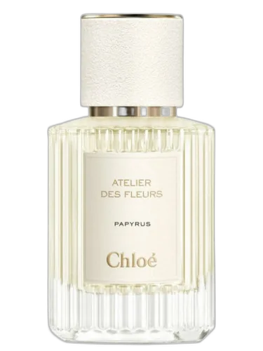 Papyrus Chloé by Chloé