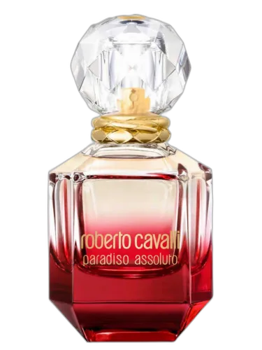 Paradiso Assoluto Roberto Cavalli by Roberto Cavalli