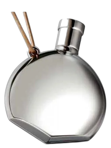 Parfum Des Merveilles Hermès by Hermès