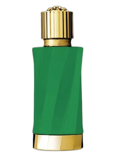 Patchouli Précieux Versace by Versace