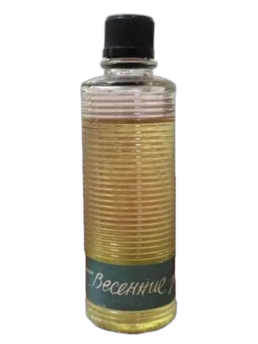Pavasara Strauti (весенние Ручьи) Dzintars by Dzintars