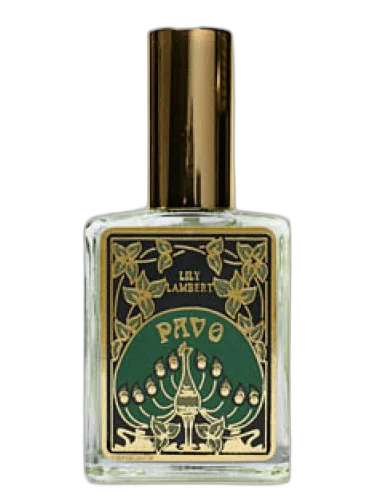 Pavo Lily Lambert by Lily Lambert