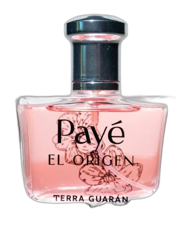 Payè El Origen Terra Guarán