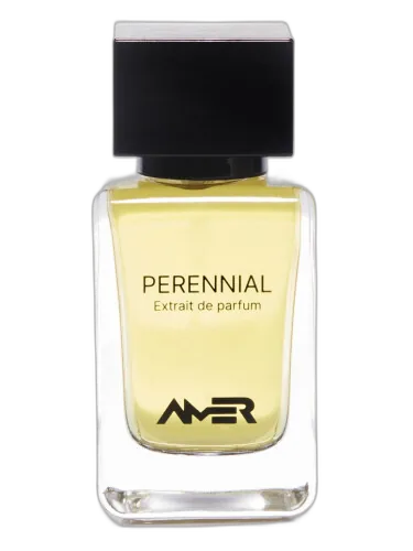 Perennial Amer Perfumes