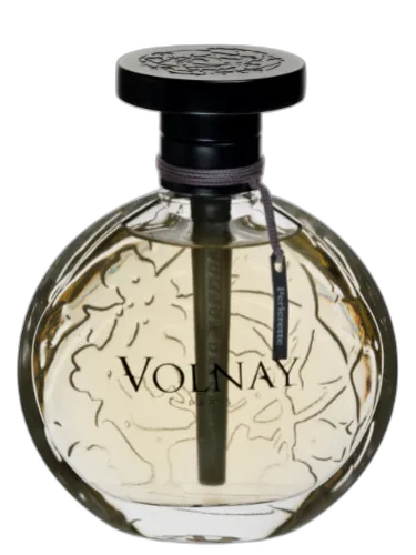 Perlerette Volnay by Volnay