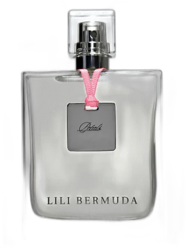 Petals Lili Bermuda by Lili Bermuda