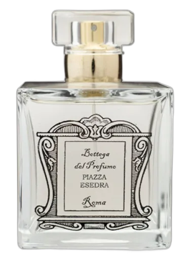 Piazza Esedra Bottega Del Profumo by Bottega del Profumo