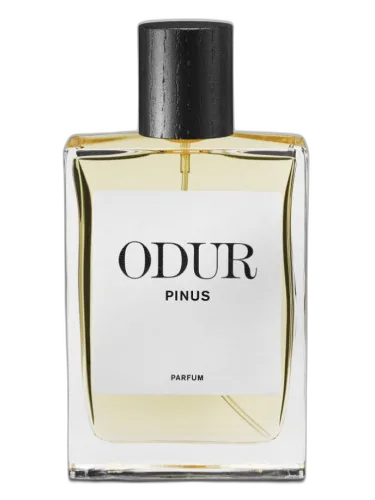 Pinus Odur by ODUR