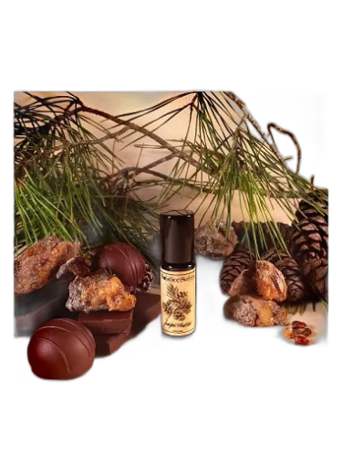 Pinyon Truffle Solstice Scents by Solstice Scents