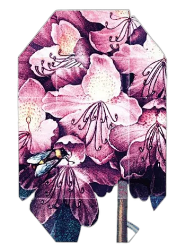 Print Collection Stella 01 (2011) Stella Mccartney