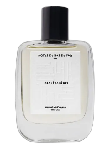 Prolégomènes Notes De Bas De Paje by Notes de Bas de Paje