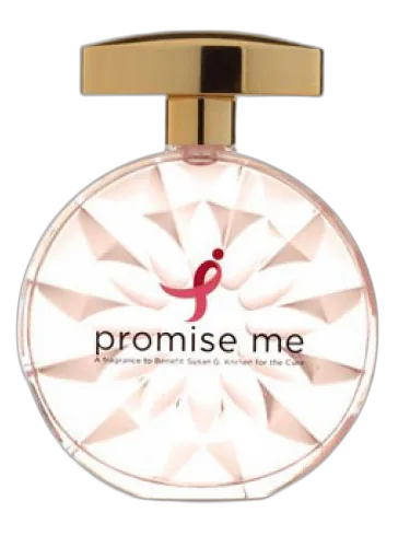 Promise Me Susan G. Komen For The Cure by Susan G. Komen for the Cure