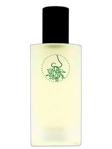 Psychoterratica Ii Jorum Studio by Jorum Studio