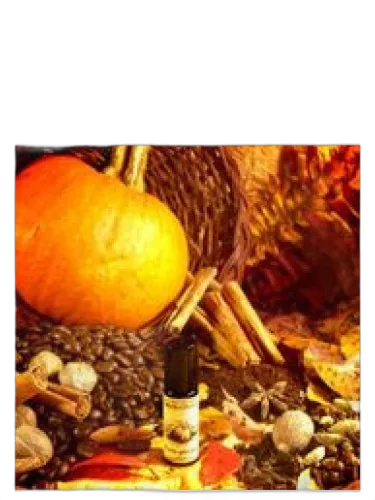 Pumpkin Spice Latte Solstice Scents by Solstice Scents
