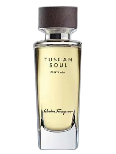 Punta Ala (2014) Salvatore Ferragamo by Salvatore Ferragamo