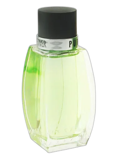 Pure Vetiver Azzaro by Azzaro