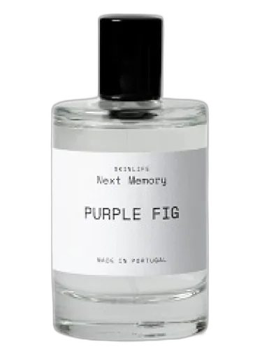 Purple Fig Next Memory by Next Memory
