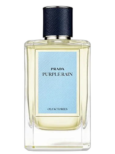 Purple Rain Prada by Prada