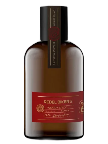 Rebel Biker's Route 66 Viking by Viking