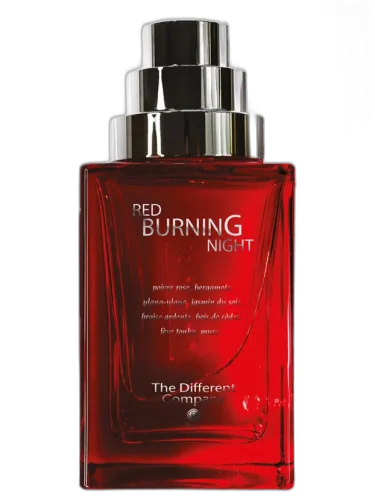 Red Burning Night The Different Company by The Different Company