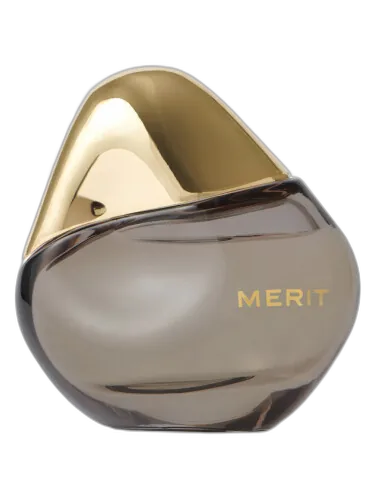Retrospect Merit by Merit