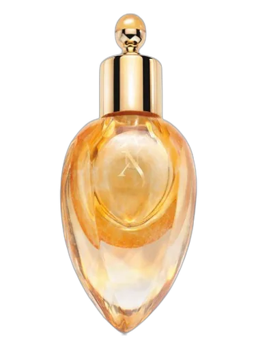 Richwood Perfume Extract Xerjoff by Xerjoff