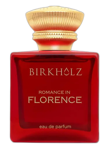 Romance In Florence Birkholz by Birkholz