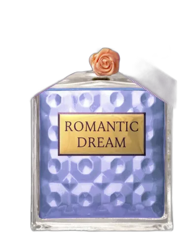 Romantic Dream Paris Elysees by Paris Elysees