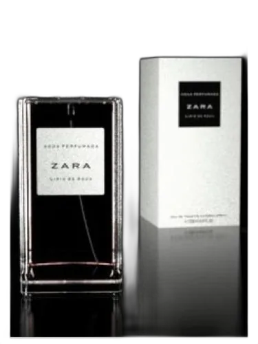 Rosa Bulgara Zara by Zara