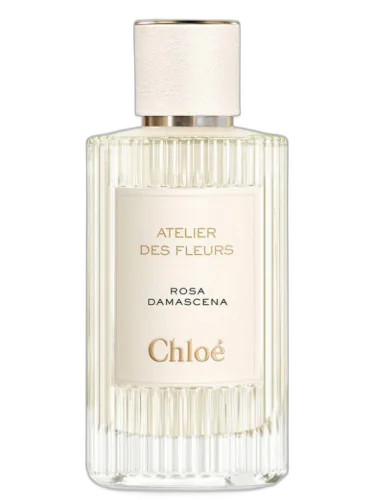 Rosa Damascena Chloé by Chloé