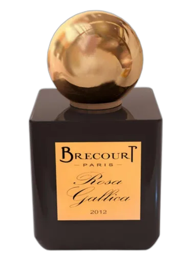 Rosa Gallica Brecourt