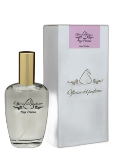 Rosa Primula Officine Del Profumo by Officine del Profumo