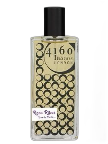 Rosa Ribes 4160 Tuesdays by 4160 Tuesdays