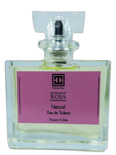 Rosa Terragonia