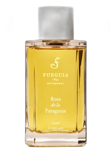 Rosa De La Patagonia Fueguia 1833 by Fueguia 1833