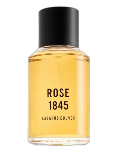 Rose 1845 Lazarus Douvos