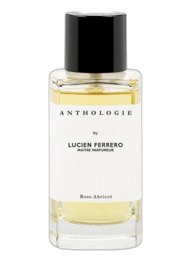 Rose Abricot Anthologie by Anthologie