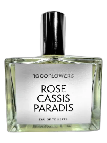 Rose Cassis Paradis 1000 Flowers by 1000 Flowers