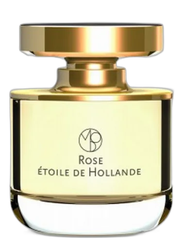 Rose Etoile De Hollande Mona Di Orio