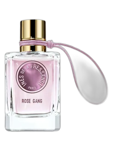 Rose Gang Ines De La Fressange