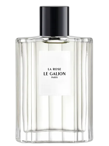 Rose Le Galion by Le Galion