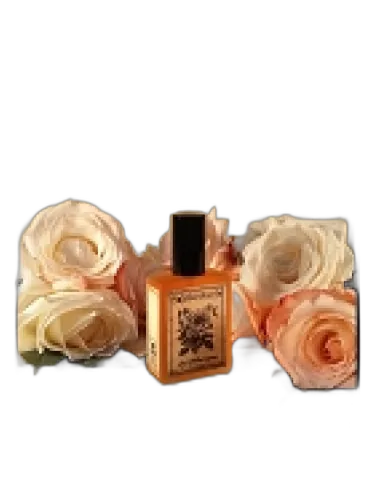 Rose Mallow Cream Solstice Scents by Solstice Scents