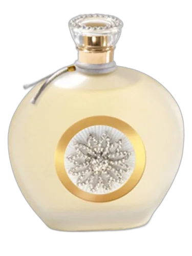 Rose De Rose Rance 1795 by Rance 1795