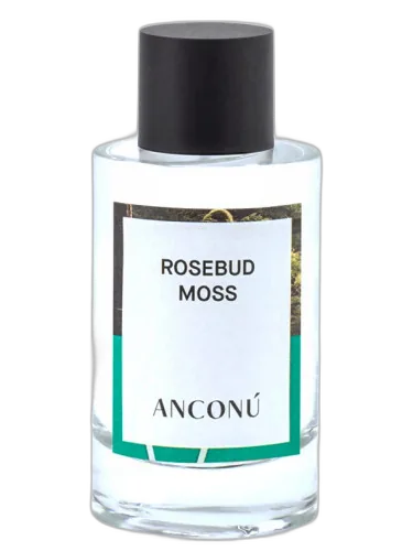 Rosebud Moss Anconu by Anconu