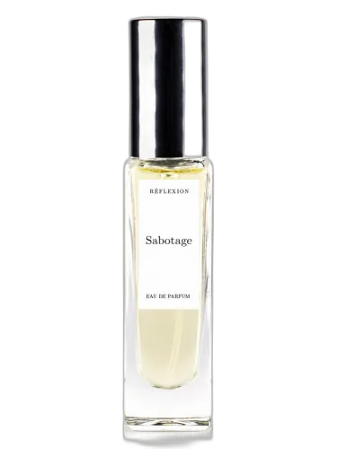 Sabotage Reflexion by Reflexion