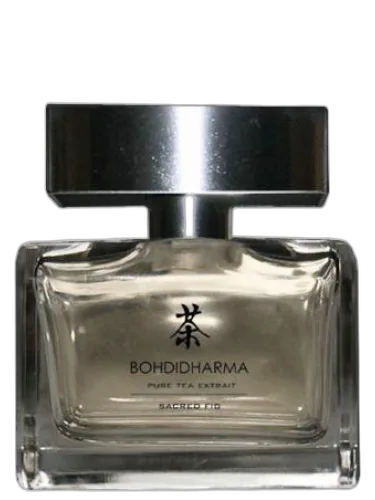 Sacred Fig Bohdidharma by Bohdidharma