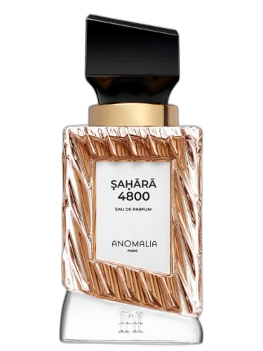 Sahara 4800 Anomalia Paris by Anomalia Paris