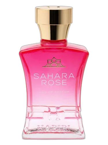 Sahara Rose Habibi Ny